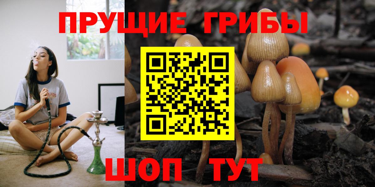 Галлюциногенные грибы прущие грибы  Вход с VPN  Кимры 