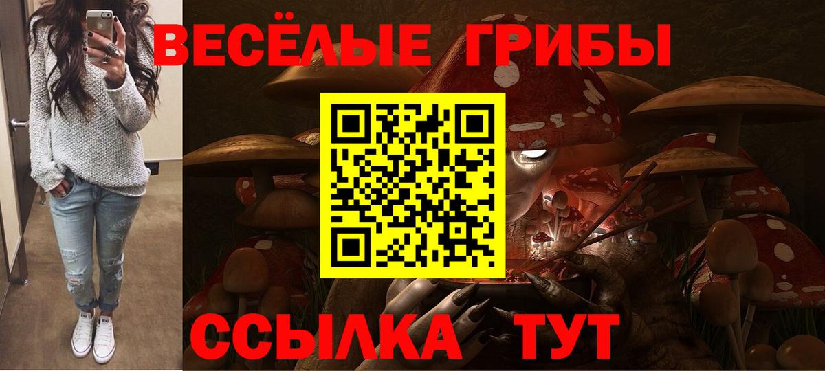 Галлюциногенные грибы Psilocybine cubensis Кимры